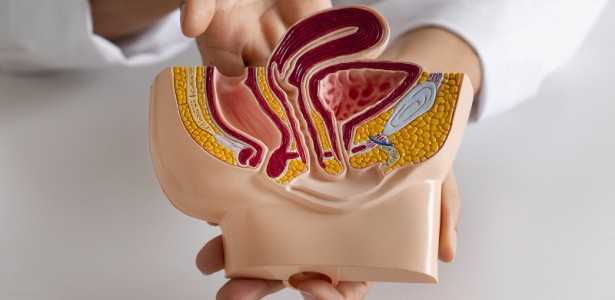 Como Ancestralidade e Variantes Genéticas Aumentam o Risco de Câncer Colorretal