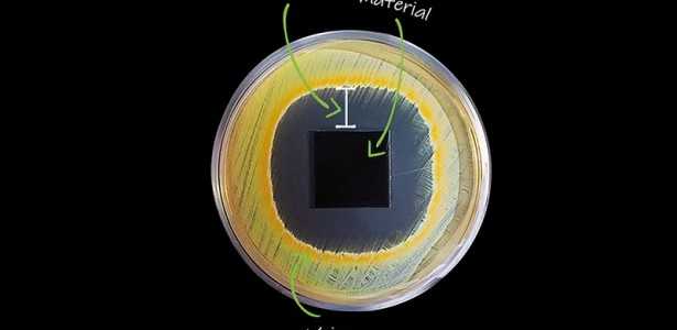 Empresa Spin-off do CDMF Ganha Prêmio no BRICS Solutions Awards 2025