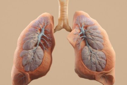 Pesquisa FAPESP Vencedora de Prêmio da Sociedade Europeia de Pneumologia