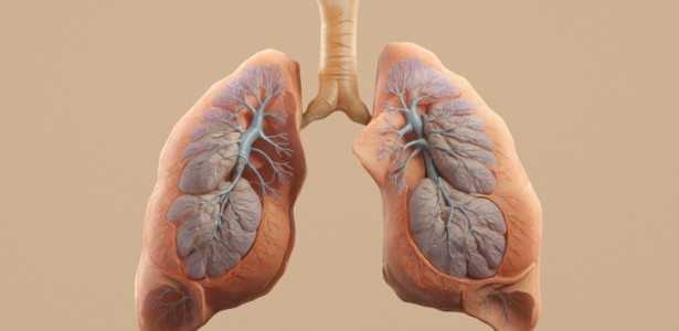 Pesquisa FAPESP Vencedora de Prêmio da Sociedade Europeia de Pneumologia