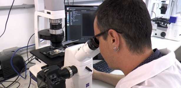 FAPESP Lança Nova Oportunidade de Pesquisa em Parceria com o European Research Council