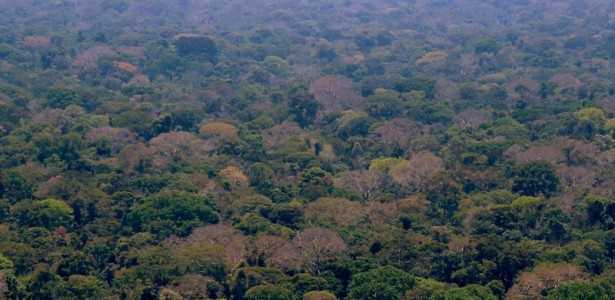 FAPESP e Universidade da Guiana Anunciam Nova Chamada de Projetos