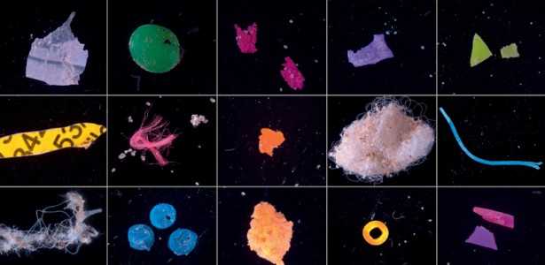 Impacto dos Microplásticos na Contaminação de Peixes e na Produção Agrícola