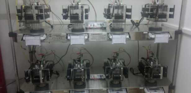 Novo Padrão de Estudos sobre Gasto Energético Pode Melhorar Tratamento da Obesidade