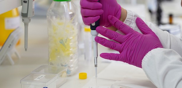 Resultados do Ciclo 1 das Chamadas Pi e Primeiros Projetos serão Divulgados em Novembro