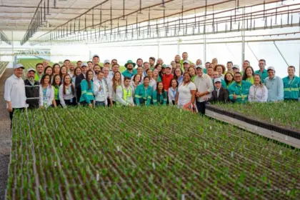 Centro de pesquisa desenvolve a macaúba como matéria-prima para combustíveis renováveis