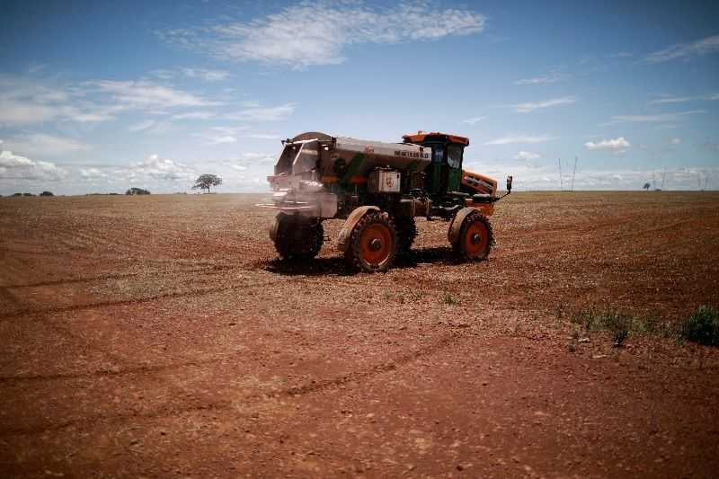Mercado de fertilizantes no Brasil cresce 10,5% no 1º semestre
