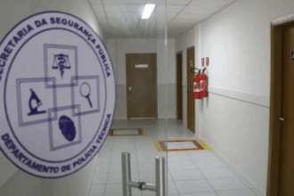 Padrasto e enteado são assassinados a tiros em roça no interior