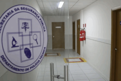 Padrasto e enteado são assassinados a tiros em roça no interior
