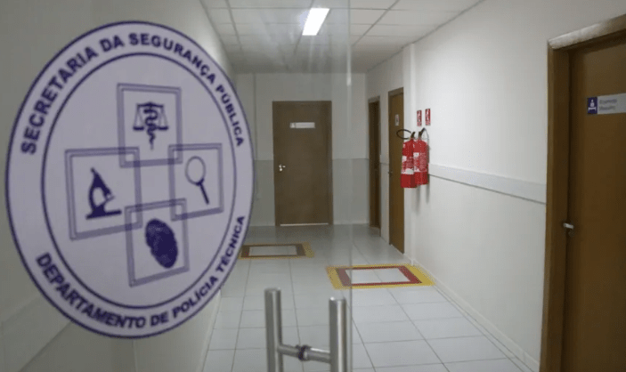 Padrasto e enteado são assassinados a tiros em roça no interior