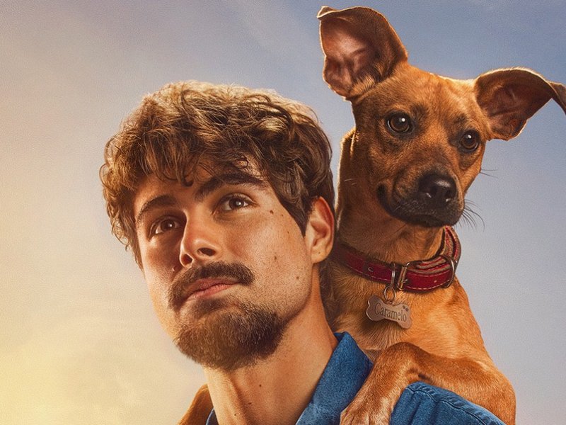 Cachorros em Caramelo: Uma Jornada de Amor que Emociona