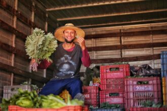 Governo do Brasil destina R$ 860 milhões ao Programa de Aquisição de Alimentos