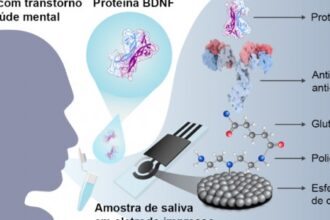 Novo Biossensor Detecta na Saliva Proteína Associada à Depressão e Esquizofrenia