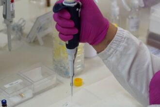 FAPESP e Agence Nationale de la Recherche Anunciam Nova Chamada para Pesquisas