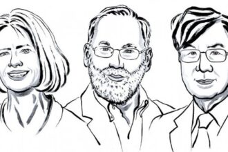 Nobel de Medicina 2023: Trio Identifica 'Freio' Adicional no Sistema Imune