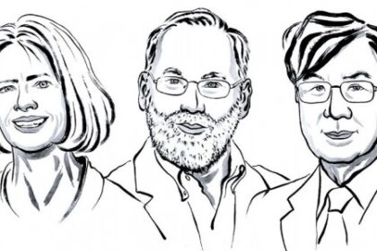 Nobel de Medicina 2023: Trio Identifica 'Freio' Adicional no Sistema Imune