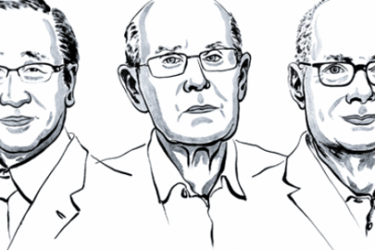 Descubra os Compostos Químicos que Capturam Gases e Água, Vencedores do Nobel de Química