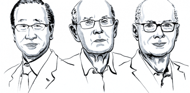 Descubra os Compostos Químicos que Capturam Gases e Água, Vencedores do Nobel de Química