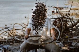 Sambaquis: Transformações na Biodiversidade e Alimentação dos Povos da Amazônia