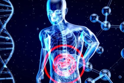 Como Metabólitos Intestinais Influenciam o Controle da Obesidade e Diabetes
