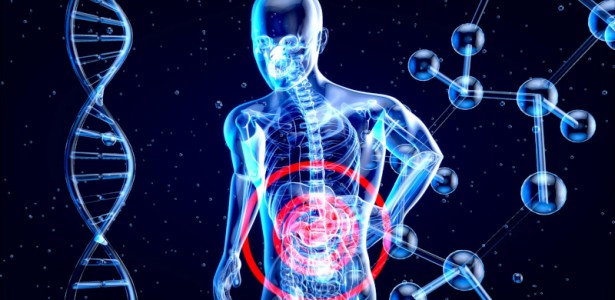 Como Metabólitos Intestinais Influenciam o Controle da Obesidade e Diabetes