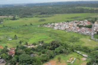 Potencial das Bordas Urbanas para Restauração Florestal: Um Estudo Revelador