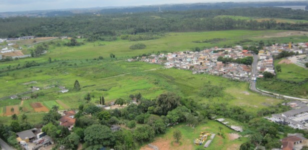Potencial das Bordas Urbanas para Restauração Florestal: Um Estudo Revelador