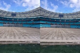 Gramado da Arena Fonte Nova passa por reforma durante Data Fifa