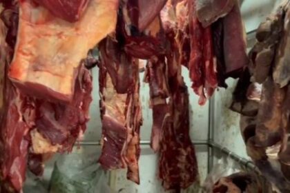 Polícia desmonta esquema de abate clandestino e roubo de gado em Sebastião do Passé