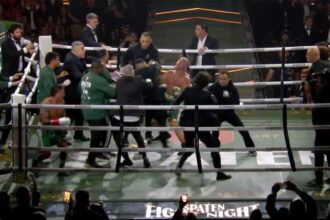 Punição pesada! Popó e Wanderlei são suspensos por Conselho de Boxe após confusão no ringue