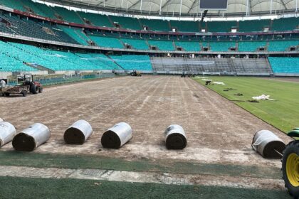 Gramado da Arena Fonte Nova segue em reforma durante Data Fifa