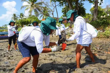 Mutirões da Acelen retiram 3,5 toneladas de lixo e recuperam manguezais na RMS