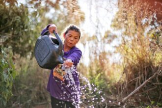 Governo do Brasil apresenta Marco de Sistemas Alimentares e Clima