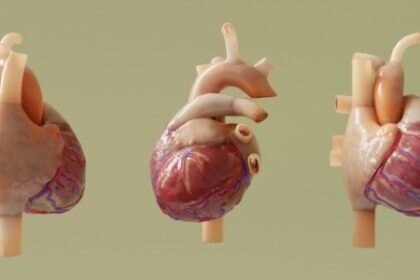 Imagem Acessível: Técnica Inovadora Previsível de Riscos Cardíacos em Pacientes com Doença de Chagas