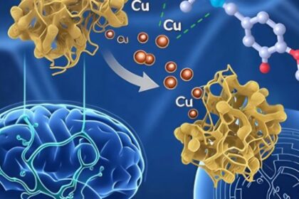 Novo Composto Químico Promissor para Combater a Doença de Alzheimer