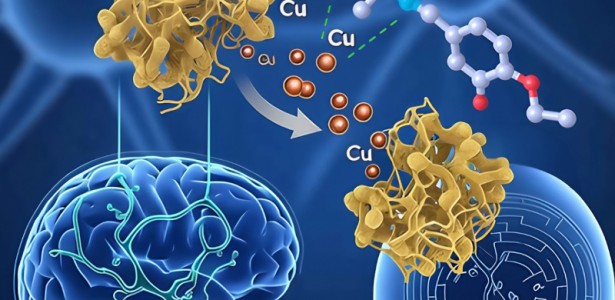 Novo Composto Químico Promissor para Combater a Doença de Alzheimer