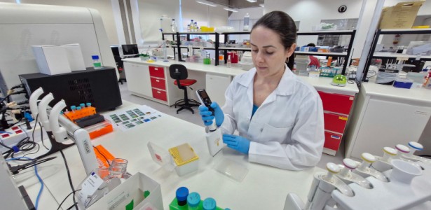 Bioluminescência: Nova Estratégia de Pesquisadores na Busca por Medicamentos Contra a Leishmaniose