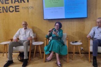 Importância de Manter a Meta de Limitar o Aquecimento Global a 1,5 °C