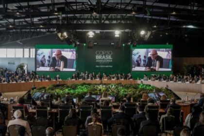 Urgente: Brasil Deve Converter Promessas em Ações na COP30, Afirmam Pesquisadores