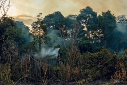 Brasil: Possível Aumento de 4°C a 4,5°C nas Temperaturas em Relação à Era Pré-Industrial, Segundo Paulo Artaxo