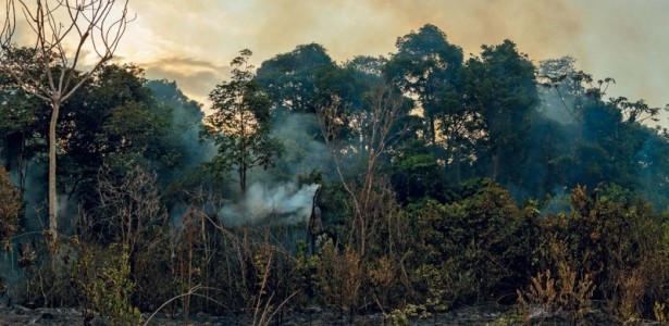 Brasil: Possível Aumento de 4°C a 4,5°C nas Temperaturas em Relação à Era Pré-Industrial, Segundo Paulo Artaxo