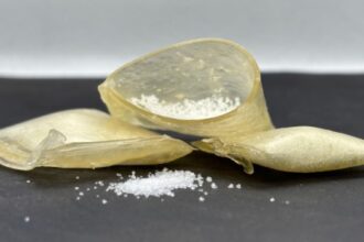 Sachês de Amido: Fertilizante Controlado que Pode Substituir Polímeros Derivados do Petróleo