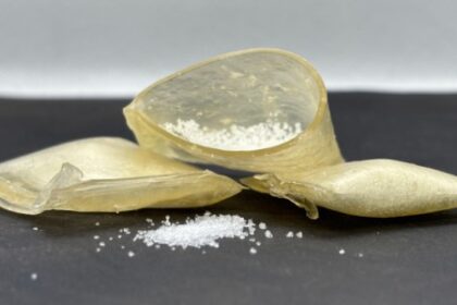 Sachês de Amido: Fertilizante Controlado que Pode Substituir Polímeros Derivados do Petróleo