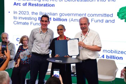 BNDES destina R$ 250 mi para recuperar 19 mil hectares de florestas