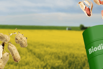 Brasil expande com 496 novos mercados em 2023, incluindo Filipinas, Guatemala e Nicarágua