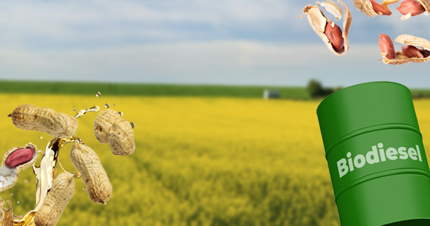 Brasil expande com 496 novos mercados em 2023, incluindo Filipinas, Guatemala e Nicarágua