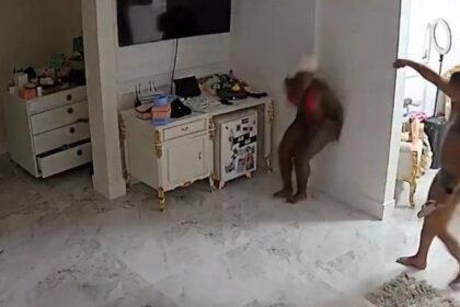 Jojo Todynho Surta com Barata no Quarto: Reação Inusitada Viraliza!