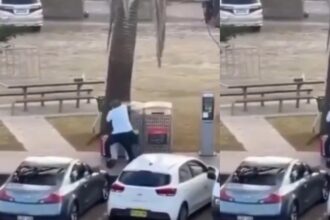 Herói Desarma Atirador e Salva Vidas em Tragédia Australiana