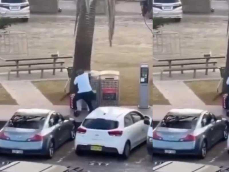 Herói Desarma Atirador e Salva Vidas em Tragédia Australiana