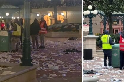 Disney em Crise: Lixo Domina Parque Após Greve Surpreendente